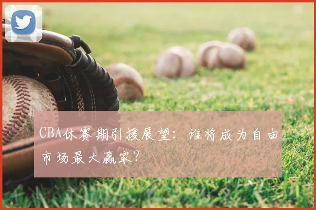 CBA休赛期引援展望:谁将成为自由市场最大赢家?