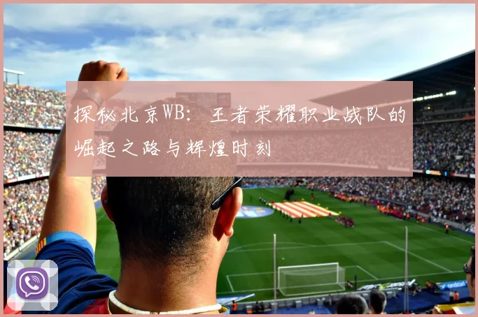 探秘北京WB:王者荣耀职业战队的崛起之路与辉煌时刻