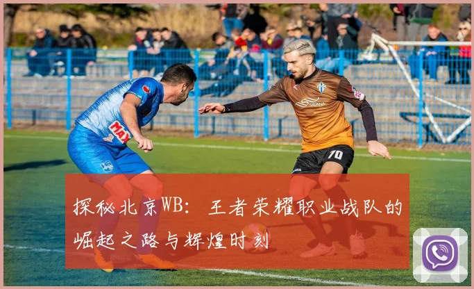 探秘北京WB:王者荣耀职业战队的崛起之路与辉煌时刻